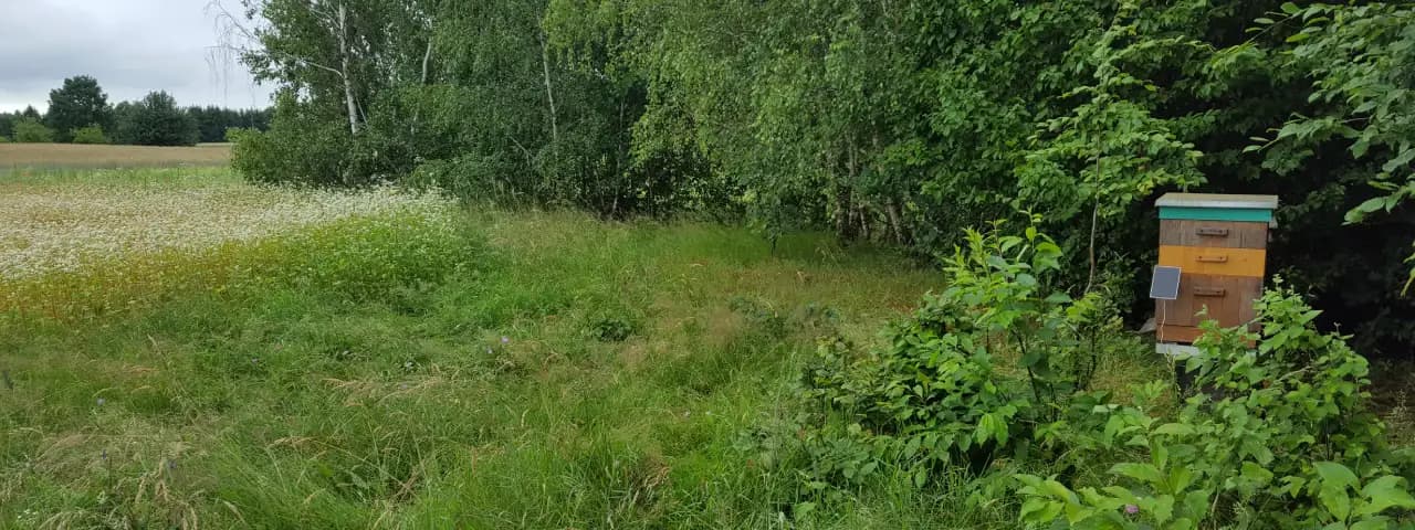 Smart hive in a green meadow