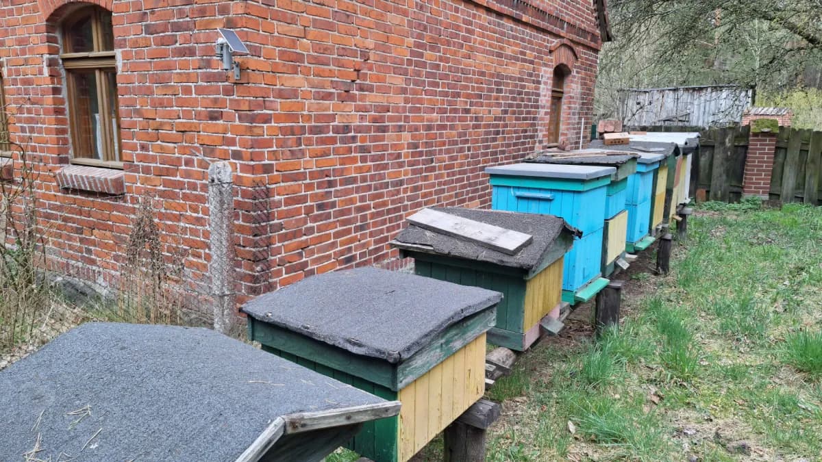 ETWAN IoT hardware deployed on beehives in the field